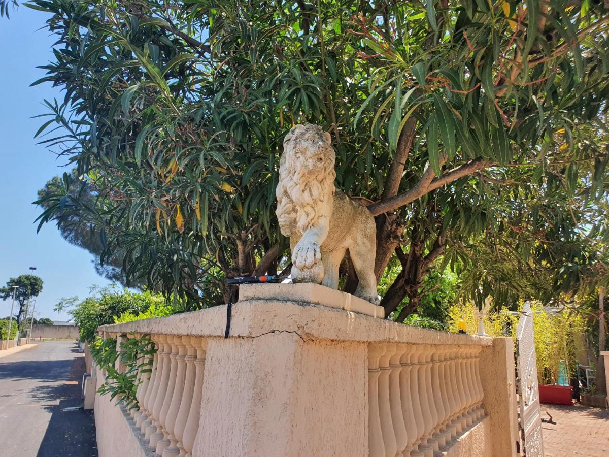 Villa Les Palmiers -Stretta Di I Mandarini Lucciana  Eksteriør billede