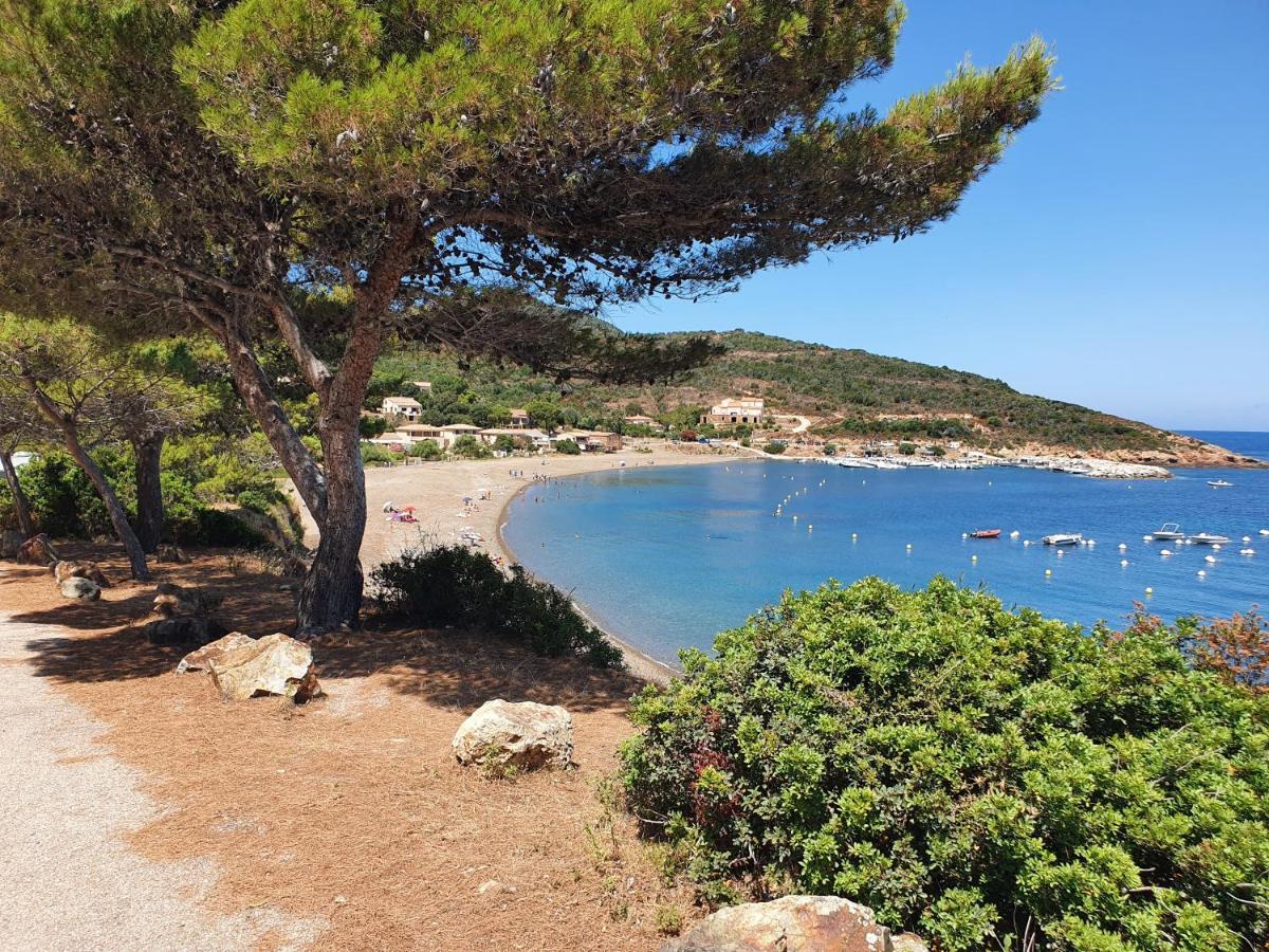 Villa Les Palmiers -Stretta Di I Mandarini Lucciana  Eksteriør billede
